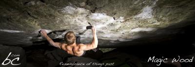 Polish guy in "Remembrance of things past"